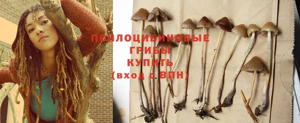 бошки Абаза