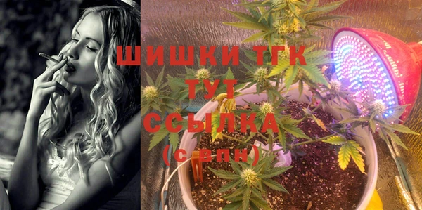 бошки Абаза