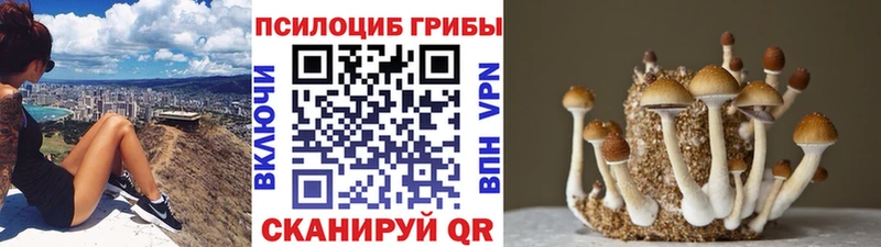 Галлюциногенные грибы Cubensis  hydra ССЫЛКА  Моршанск 